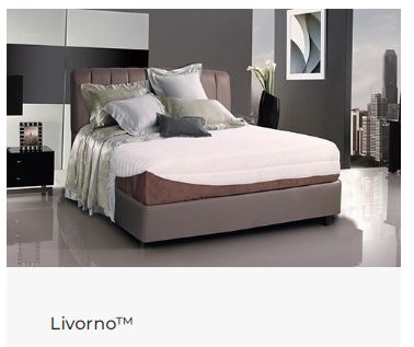 Livorno 100x200
